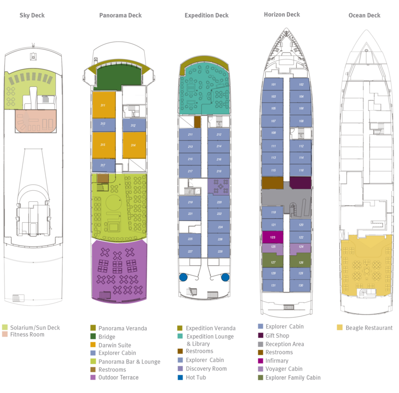 Deck santa cruzii2