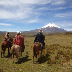 Andes cabalgata dsc00863