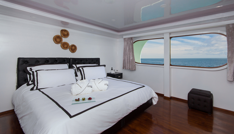 Petrel cabin 1
